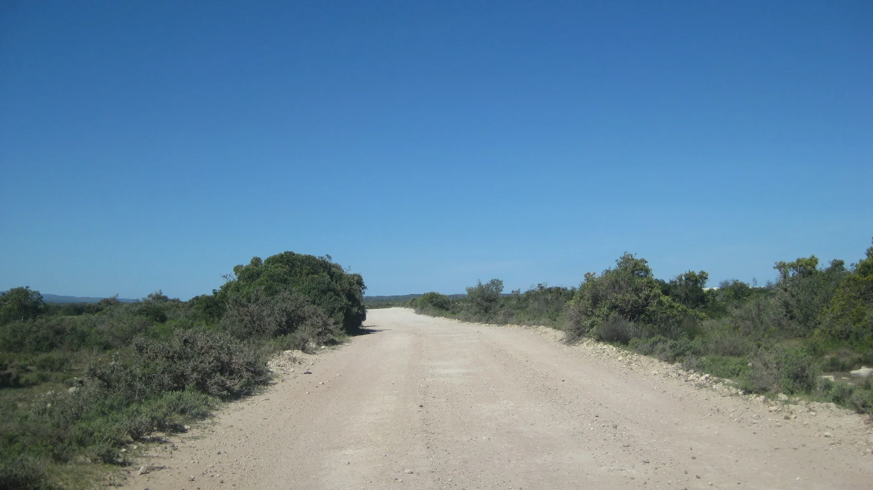A pale gravel road curves gently through low coastal scrub.