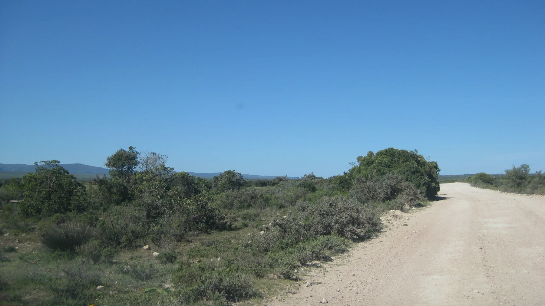 A gravel track passes low shrubs toward a distant blue horizon.