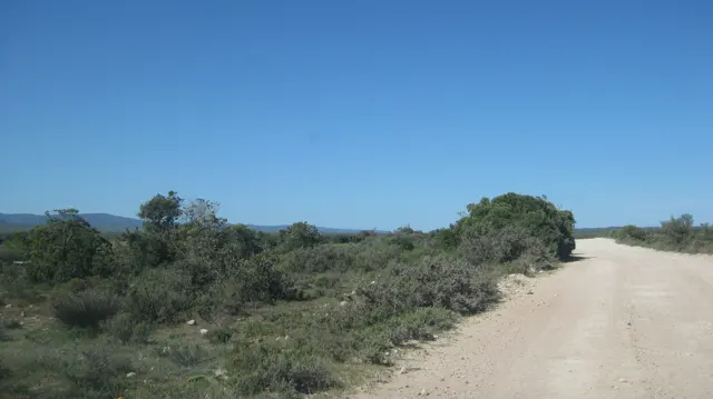 A gravel track passes low shrubs toward a distant blue horizon.
