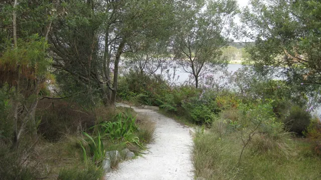 A pale path curves between trees toward reservoir water.