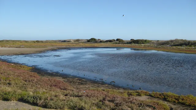 A shallow blue pool lies among low reddish and green vegetation.