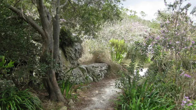 A narrow path curves beside rocks under leafy trees.