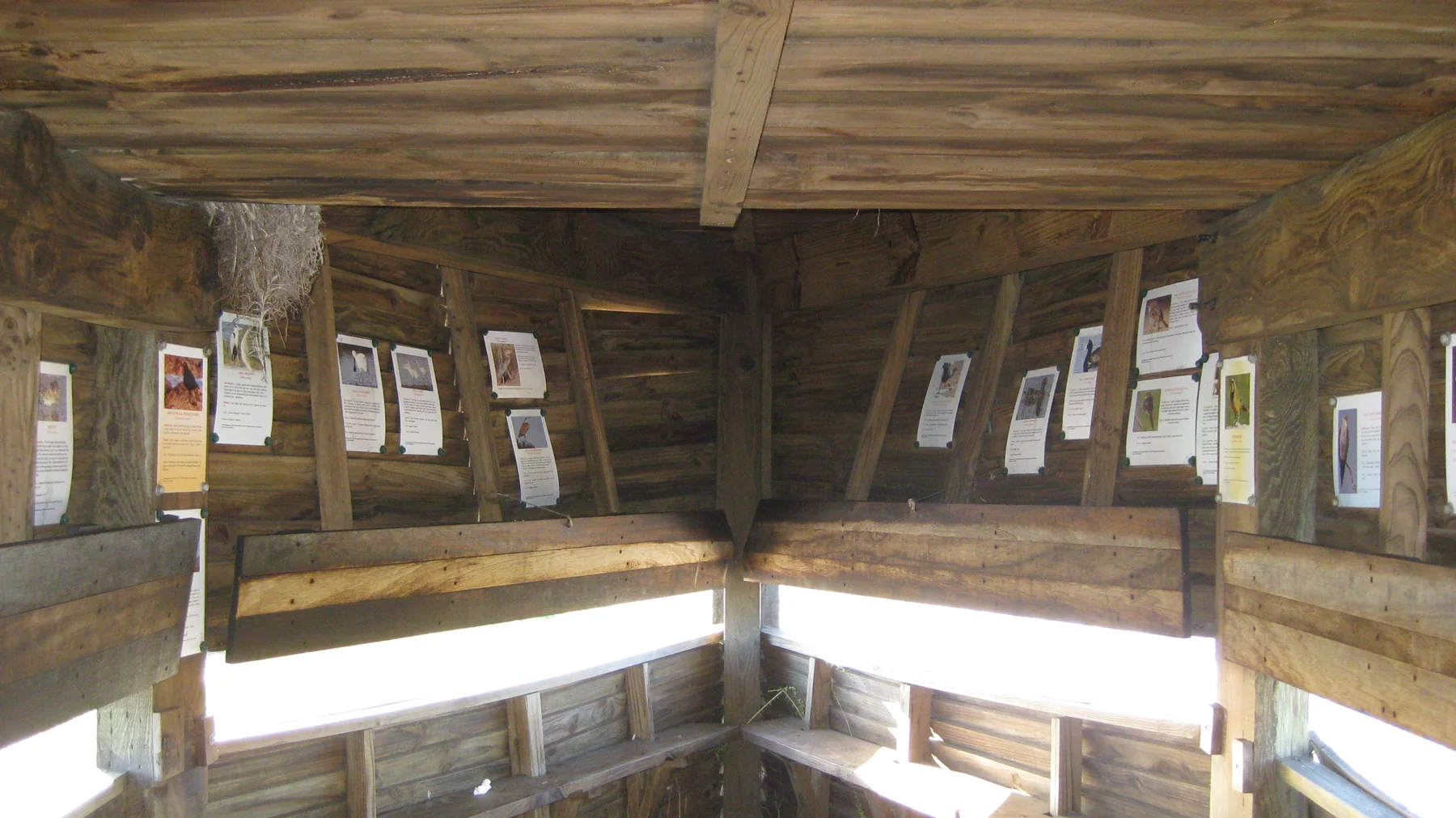 Wooden walls and narrow viewing openings surround the interior of a bird hide.