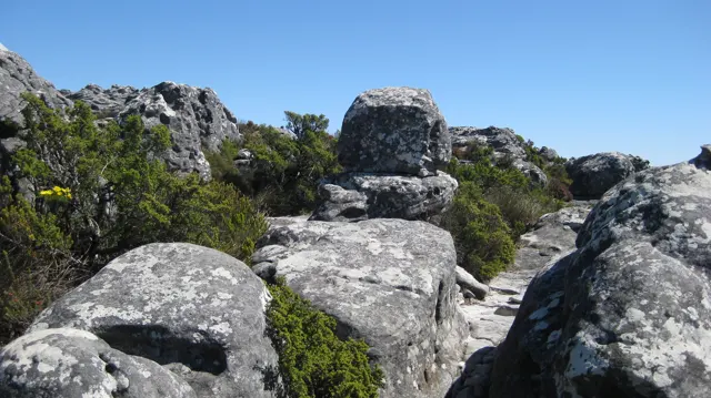 Large gray boulders flank a narrow summit walking path.