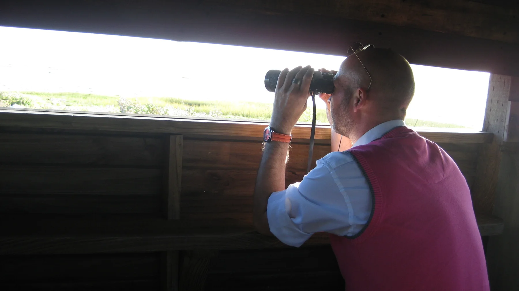 A person uses binoculars through a narrow opening in a wooden hide.