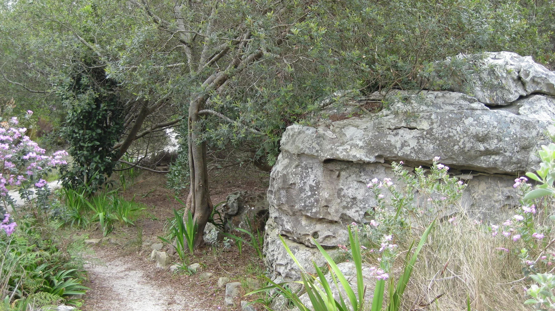 A large pale rock stands beside a shaded trail and flowering shrubs.