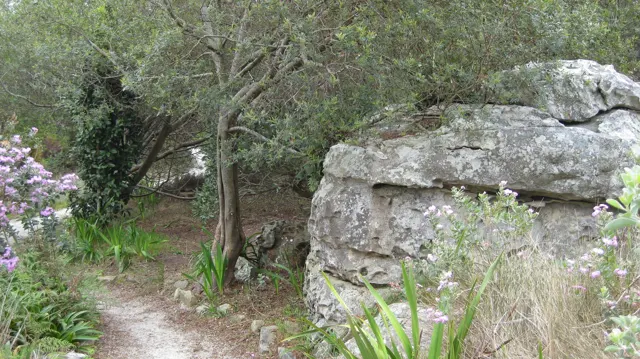 A large pale rock stands beside a shaded trail and flowering shrubs.
