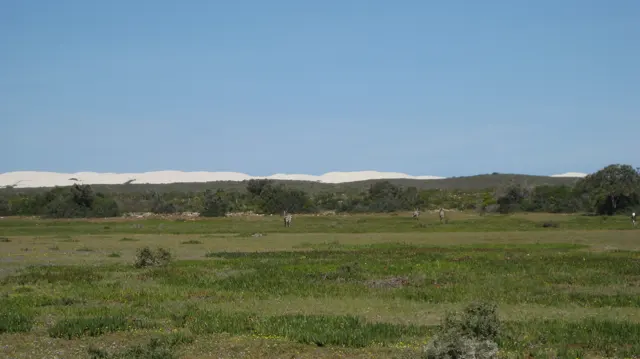 White dunes form a distant band beyond green fields and shrubs.