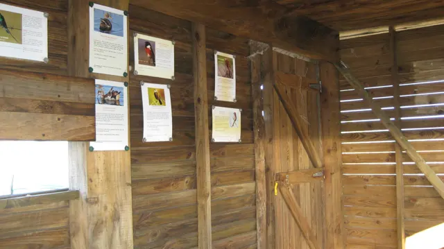 Bird information sheets hang on the wooden walls of a viewing hide.