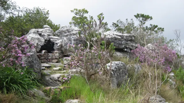 Stone steps climb between pale boulders and purple flowers.