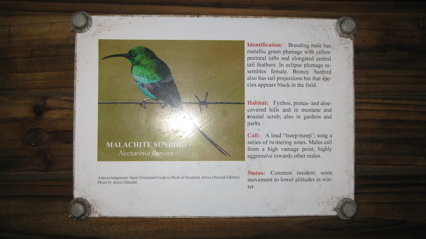 A bird information panel is attached to a wooden hide wall.