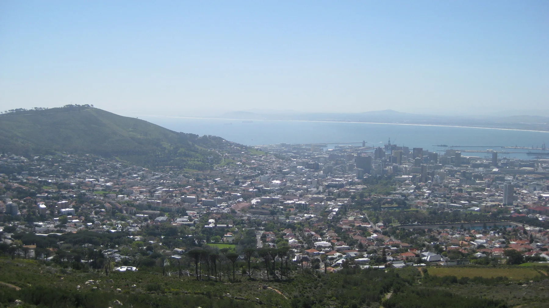 Green trees frame a distant city and bay.