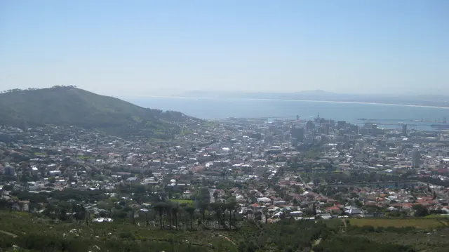 Green trees frame a distant city and bay.