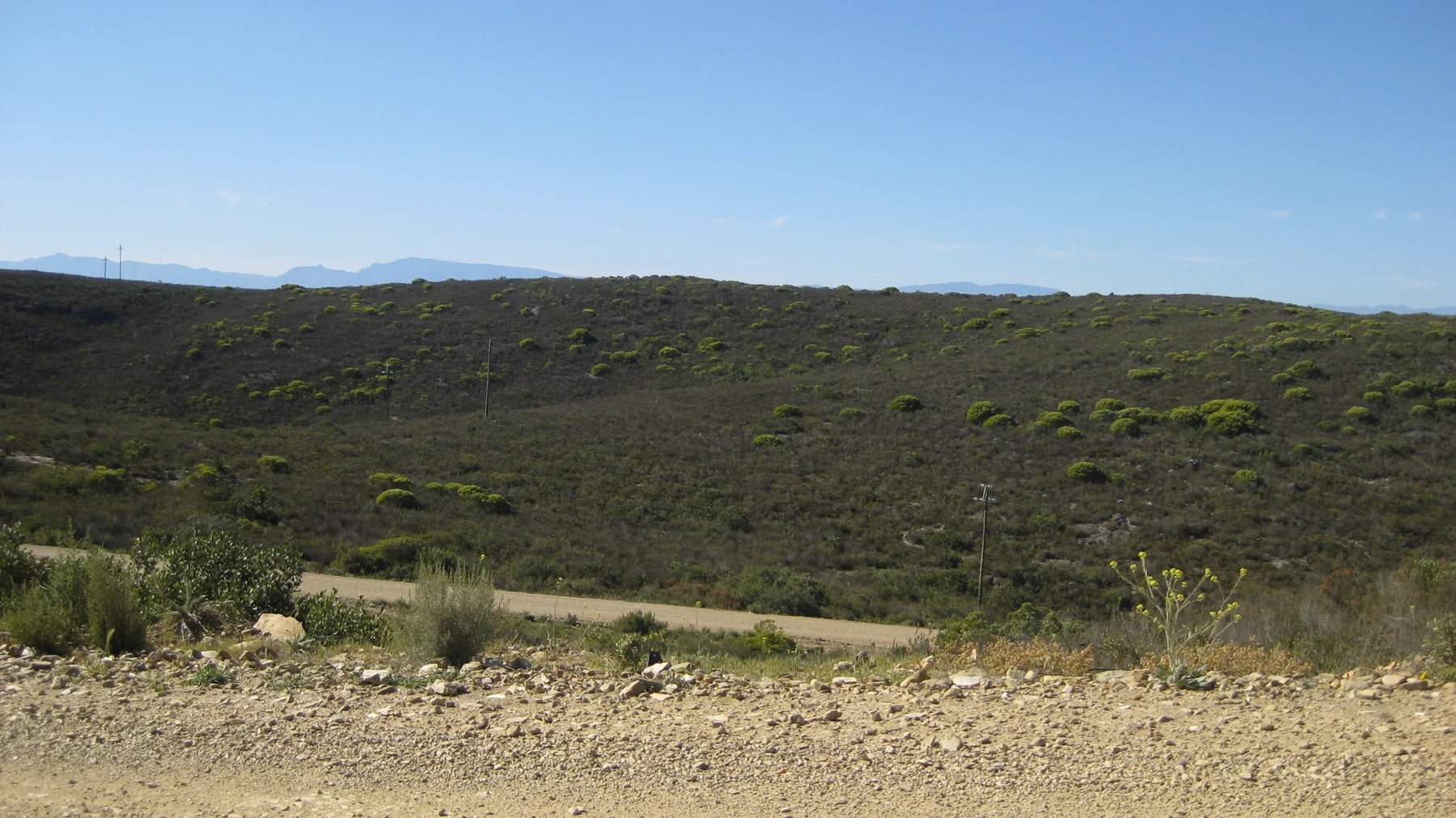 A gravel verge overlooks a shallow valley of low scrub.