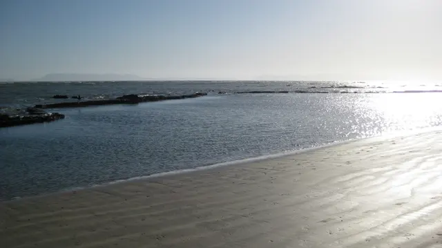 Sunlight glitters across shallow water and smooth wet sand.