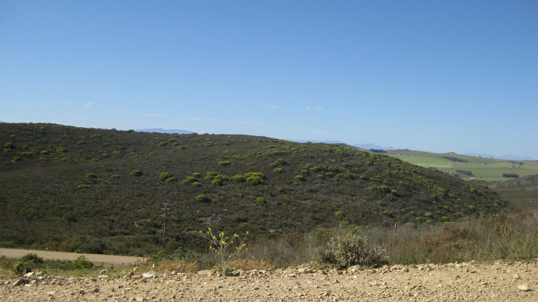 Low shrubs cover a broad valley under a cloudless sky.