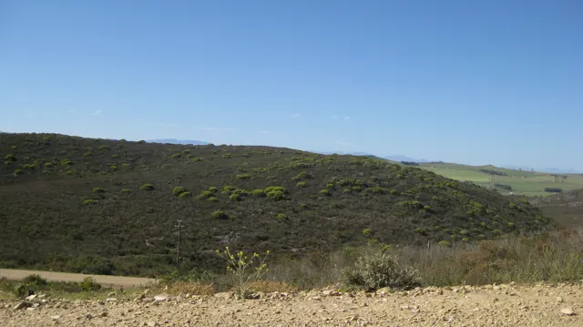 Low shrubs cover a broad valley under a cloudless sky.