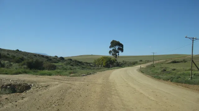 A gravel road curves through low rolling farmland.
