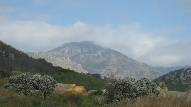 Cloud brushes a broad mountain beyond foreground shrubs.