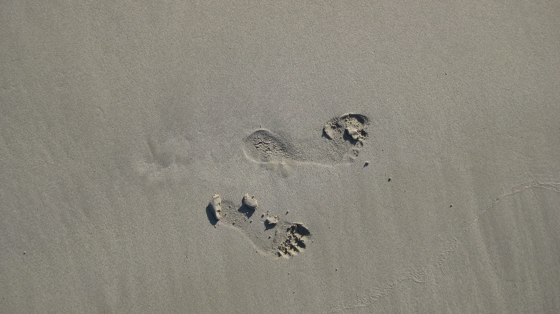 A few footprints mark smooth damp sand.