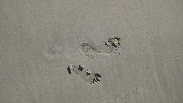 A few footprints mark smooth damp sand.