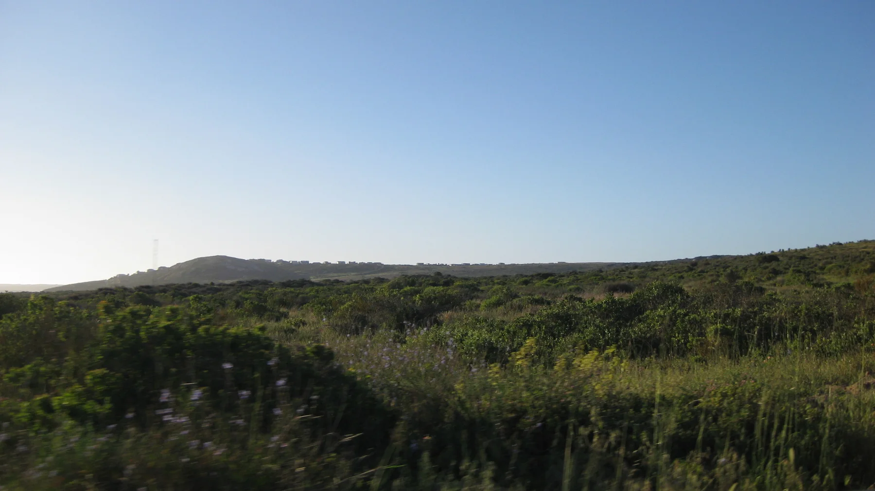 Low scrub stretches toward a flat horizon beneath pale blue sky.