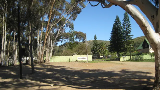 Tall trees shade an entrance beside pale walls and green grounds.
