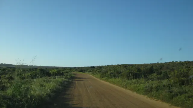 A red dirt track runs between dense green vegetation.