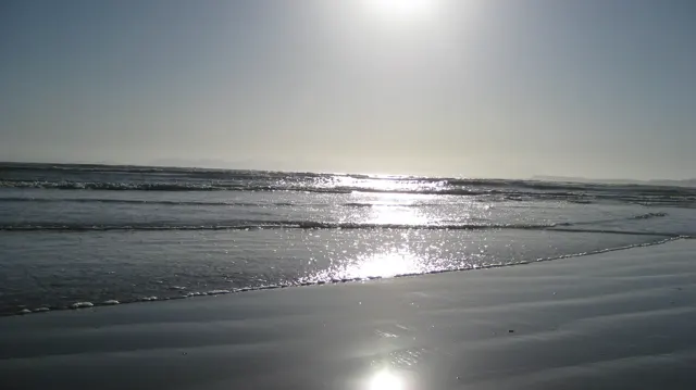 Sunlight makes a silver path across shallow surf and wet beach.