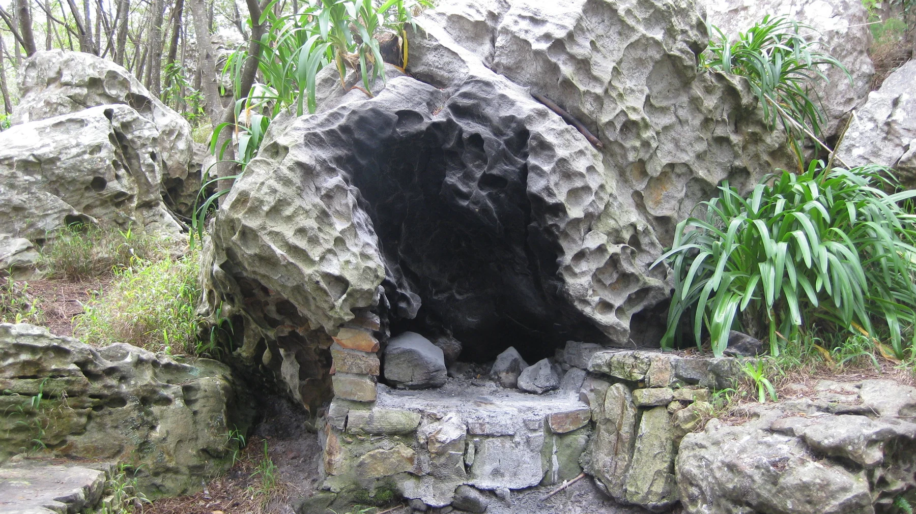 A dark hollow opens in a weathered boulder beside long green leaves.