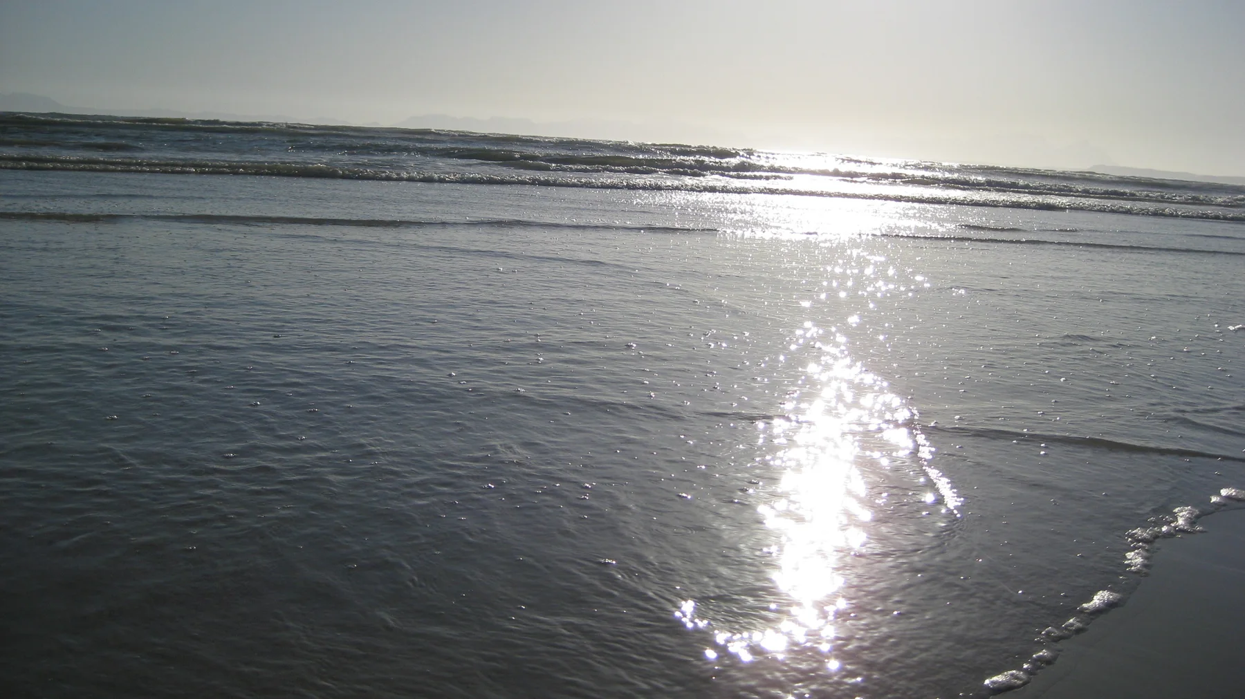 Bright reflections shimmer across thin water on rippled sand.