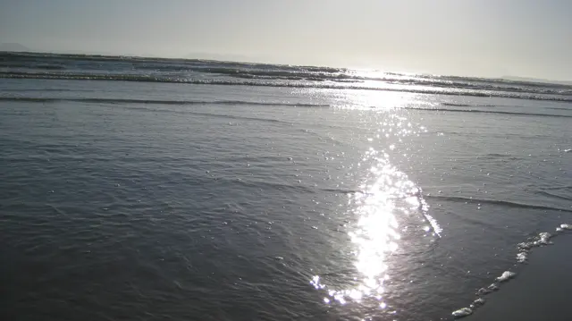 Bright reflections shimmer across thin water on rippled sand.