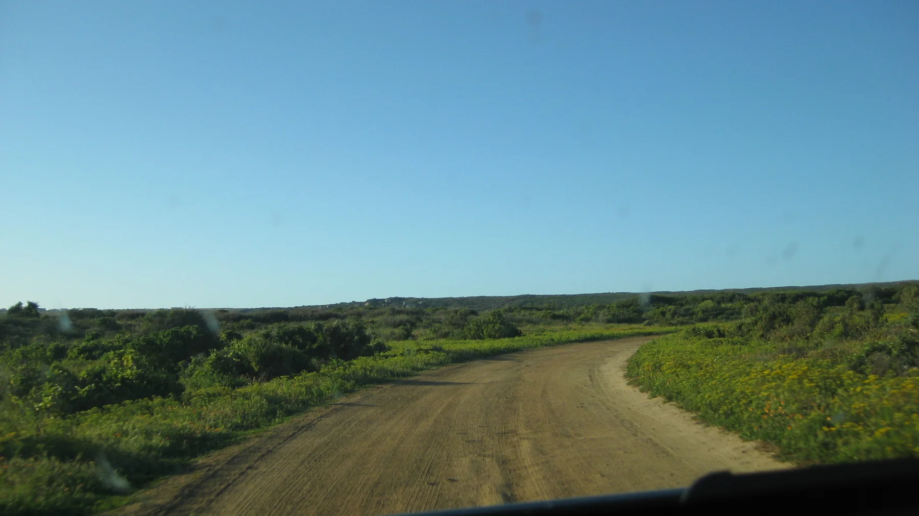 A dirt road curves through low green vegetation.
