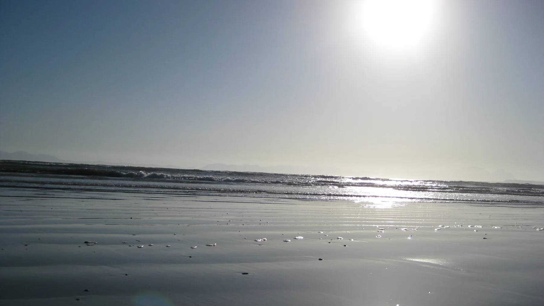 Low waves roll across a reflective beach beneath bright sunlight.