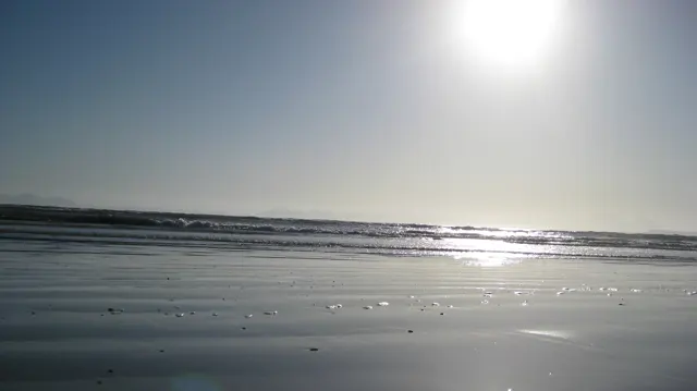 Low waves roll across a reflective beach beneath bright sunlight.