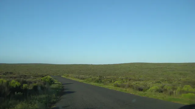 A paved road descends through low scrub beneath a clear horizon.