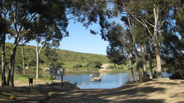 Tall trees shade a landing beside a small ferry on blue water.