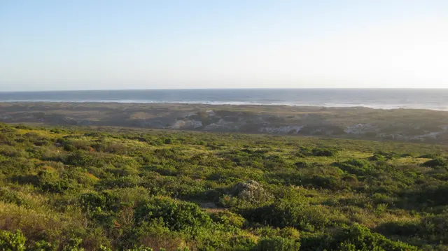 Low sunlit scrub stretches toward a pale coastal horizon.