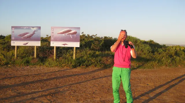 A person in bright clothing stands beside information boards in warm light.