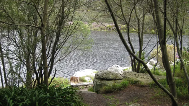 Tree trunks frame reservoir water and pale shoreline rocks.