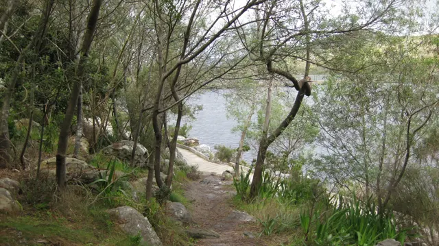 An earthy path slopes between trees toward reservoir water.