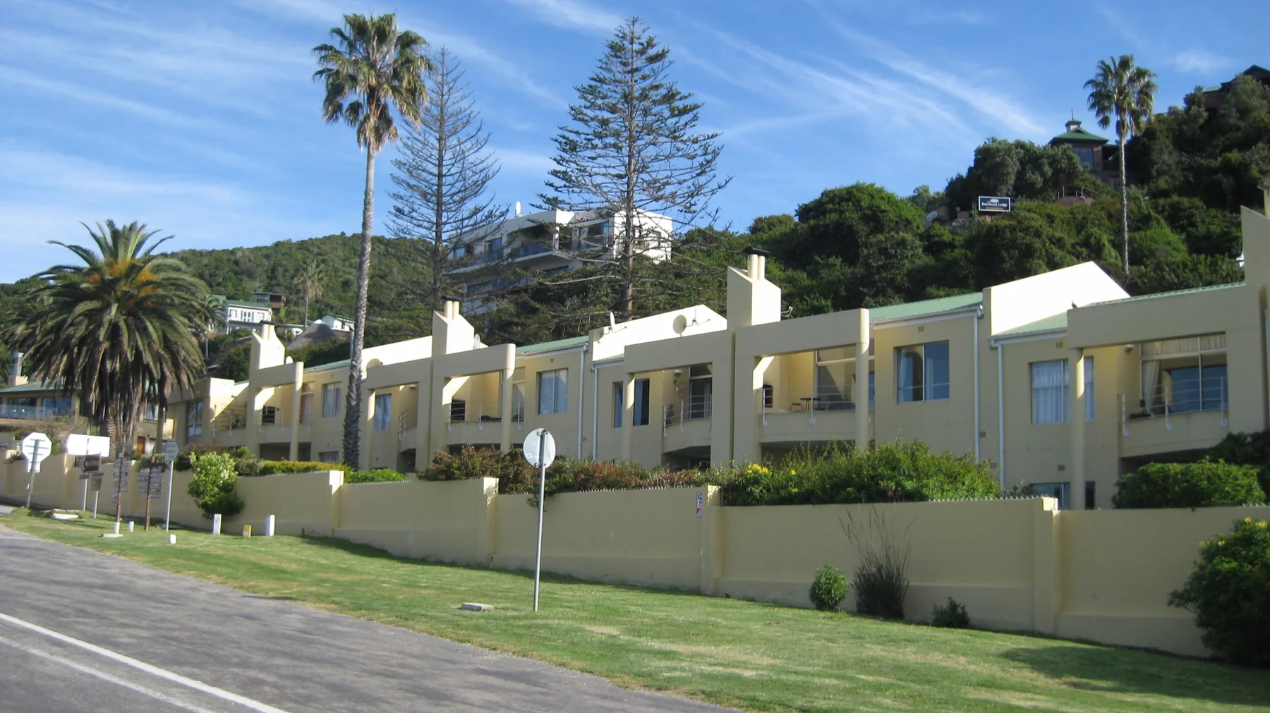 Pale houses and garden walls line a road beneath tall palms.