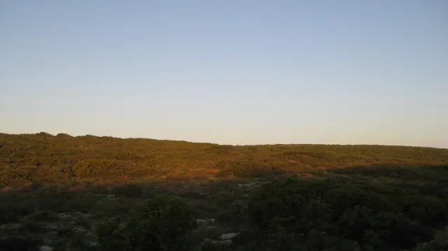 Warm evening light falls across low coastal scrub.