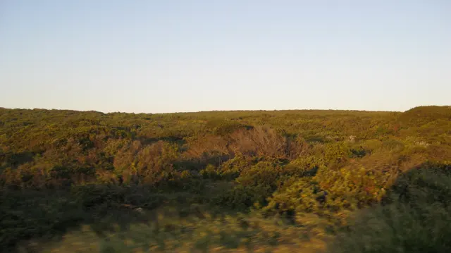 Warm light highlights patches of low shrubs across open ground.