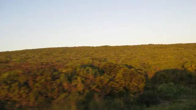 Low golden-brown vegetation covers a flat coastal plain.