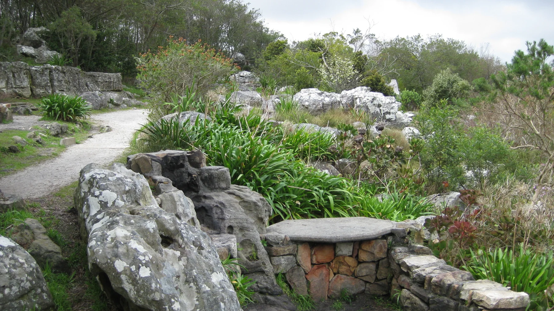A small stone bench sits among rocks and long green leaves.