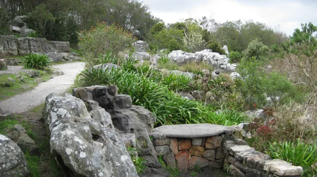 A small stone bench sits among rocks and long green leaves.