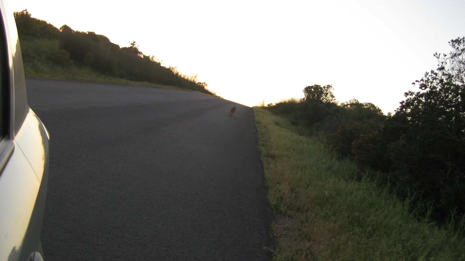 A dark road runs uphill beside a car in fading light.