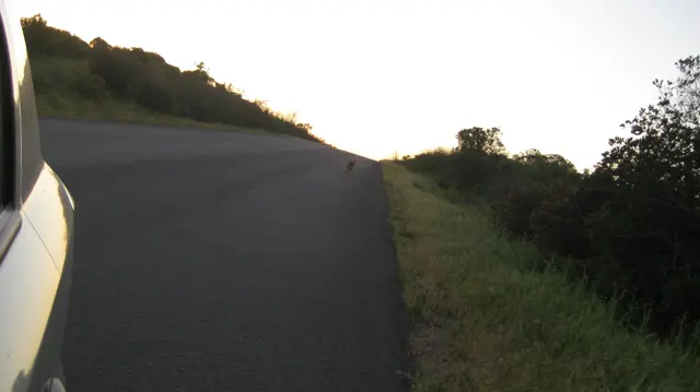 A dark road runs uphill beside a car in fading light.