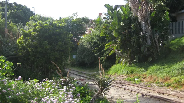 Railway tracks pass dense greenery and flowers beside buildings.